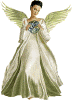 AngelPic79.gif (21494 bytes)